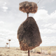 Illustration for article titled What are these mysterious structures in the southern Kalahari?